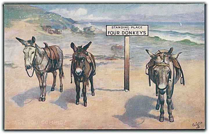Are you coming?. Standing Place for four Donkeys. Raphael Tuck & Sons Oilette, On The Sands no. 3153. 