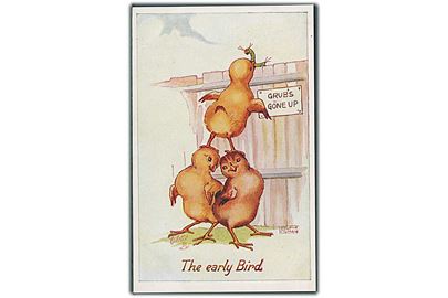 Leigh Kidman: The early Bird Grub's Gone Up. Raphael Tuck & Sons Oilette, War Problems no. 8844. 