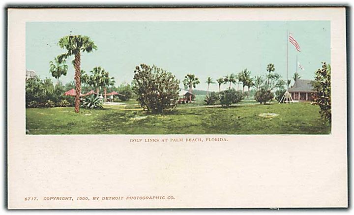 Golf links at Palm Beach, Florida. Detroit Photographic Co. no. 5717. 