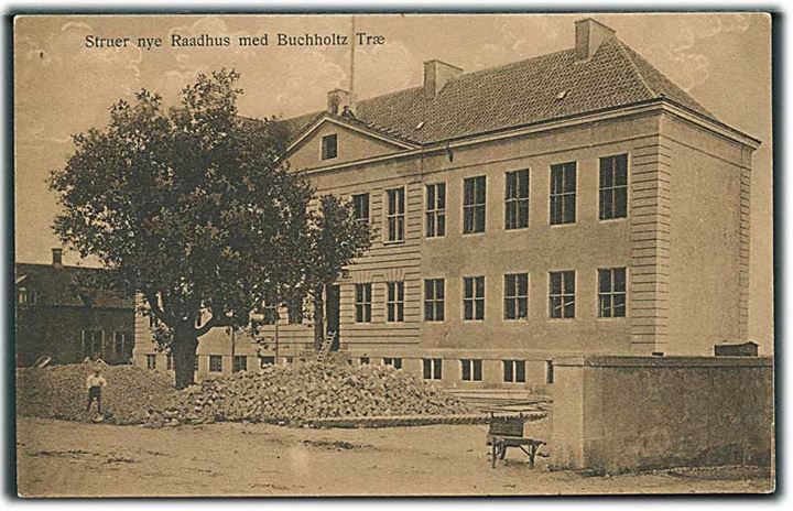 Det nye Raadhus med Buchholtz Træ i Skive. Johan A. Poulsen no. 17. 