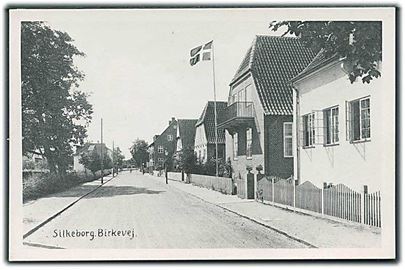 Birkevej i Silkeborg. Stenders no. 64550. 