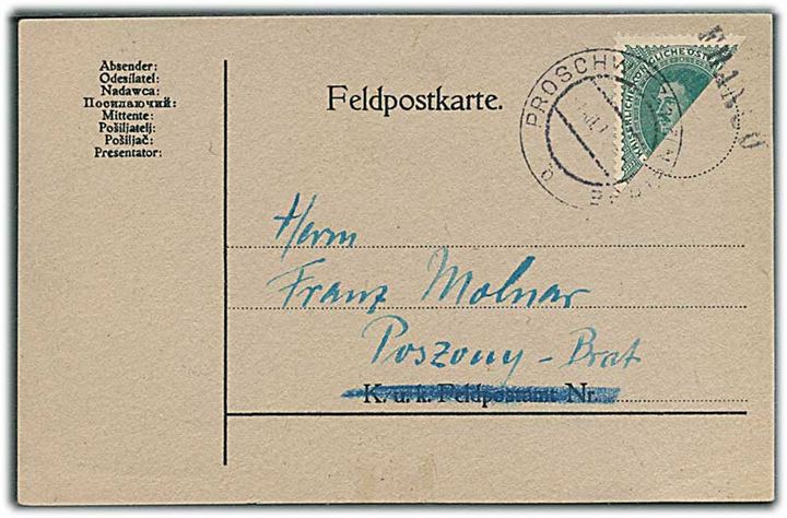 Halveret østrigsk 20 h. Kaiser Karl I anvendt i Tjekkoslovakiet på filatelistisk brevkort stemplet Franco og Proschwitz ca. 1918 til Poszony-Brat.