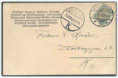 3 øre Tofarvet vm. III omv. rm. på lokalt brevkort i Kjøbenhavn d. 23.3.1904.