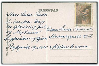 Thorvaldsen Foreningen 1925 Julemærke på brevkort (Múlafoss) dateret Reykjavik d. 12.12.1925 til København. Antagelig fremsendt i kuvert.