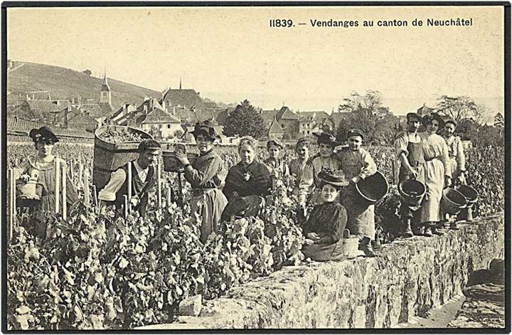 Vindruerne plukkes, Frankrig. Neushátel no. 11839.