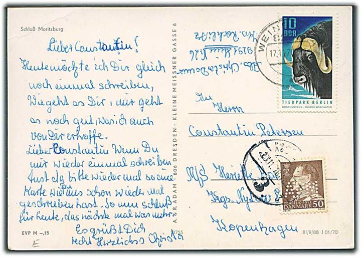 DDR 10 pfg. på brevkort fra 1970 til sømand ombord på M/S Henriette Mærsk via rederiet A.P.Møller i København. Opfrankeret med 50 øre Fr. IX med perfin APM stemplet København.