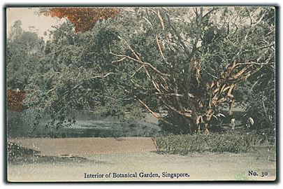 Interior of Botanical Garden, Singapore. No. 30. 