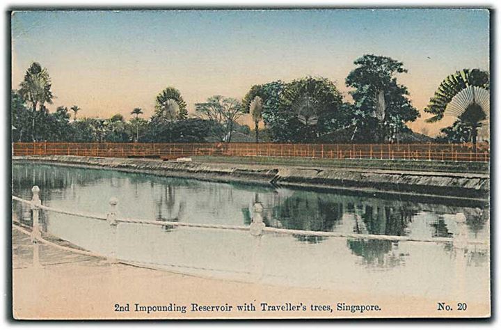 2nd Impounding Reservoir with Traveller's trees, Singapore. No. 20. 
