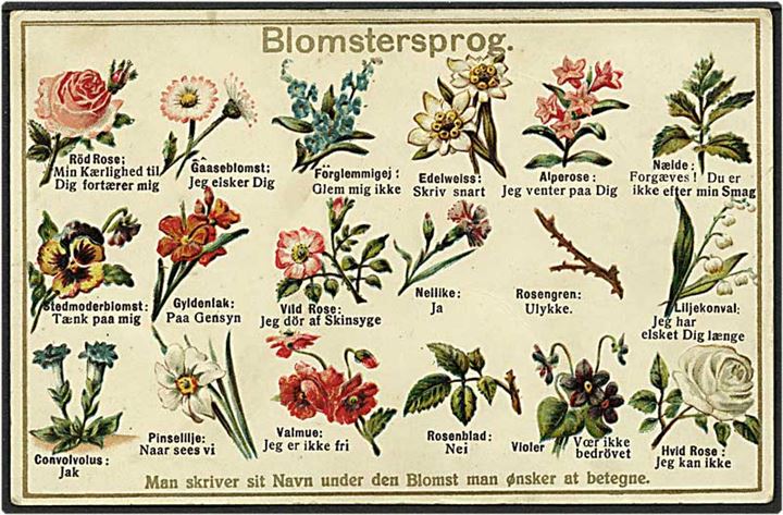 Blomstersprog. A. Vincent no. 6617.