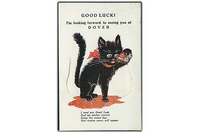Good Luck! I'm looking forward to seeing you at Dover. I send you Good Luck, And my wishes sincere, Raise the round flap, And twelve views will appear. Kattens mave kan åbnes og indeholder 12 billeder. U/no. 