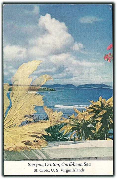 Sea Fan, Croton, Caribbean Sea. St. Croix, U. S. Virgin Island (Dansk Vestindien). Virgin Islands Dept. of Trade u/no. Kodachrome by Fritz Henle u/no. Stemplet Christiansted V.I. d. 8.3.1960 til Danmark.