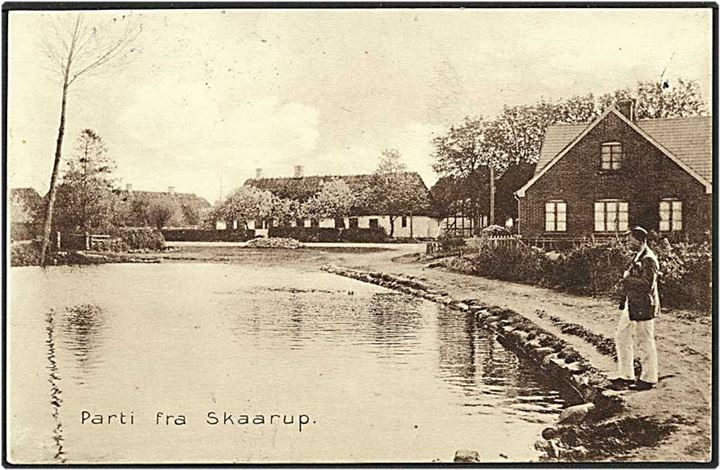 Parti fra Skaarup. Stenders no. 11161.