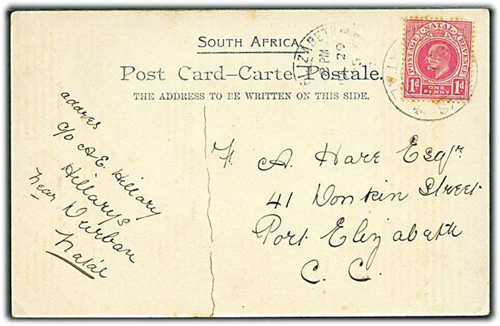 Natal. 1d Edward VII på brevkort (Zulu Medmorial, Maritzburg) fra Hillary Natal d. 26.6.1905 til Port Elizabeth, Cape Colony.
