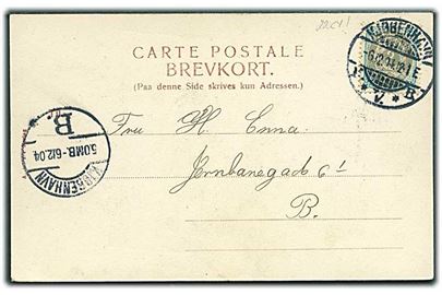 3 øre Tofarvet omv. rm. single på lokalt brevkort i Kjøbenhavn d. 6.12.1904. AFA: 1600.