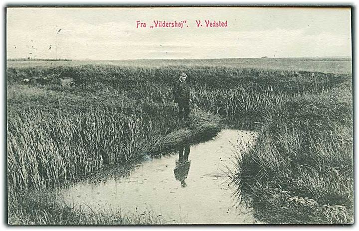 Fra Vildershøj v. Vedsted. Warburgs Kunstforlag u/no. Frankeret med 5 øre Fr. VIII og Julemærke 1909 til Vester Vedsted pr. Ribe.