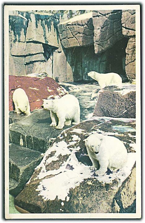 Zoologisk Have med Isbjørnegrotten, København. K. Witt-Møller, serie no. 6700-52. 