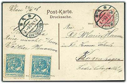 10 h. Franz Joseph og 1 h. Niederösterreich für Krüppelkinder mærkat (2) på brevkort fra Wien d. 24.4.1906 til København, Danmark.