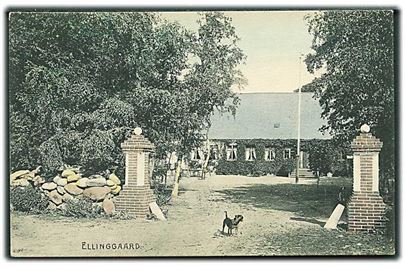 Ellinggaard. Stenders no. 4515.