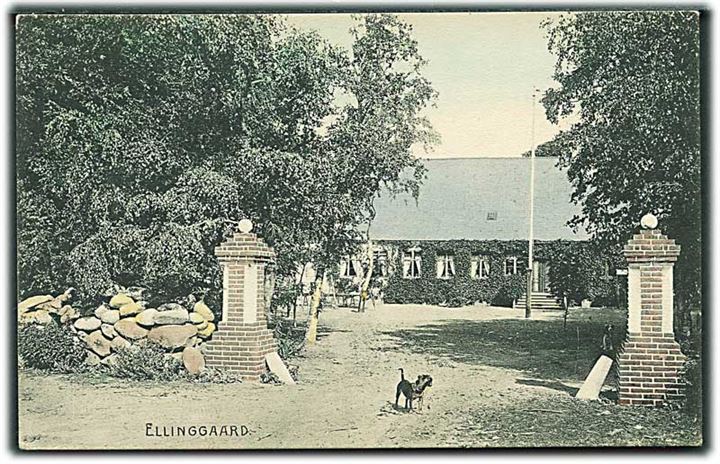 Ellinggaard. Stenders no. 4515.