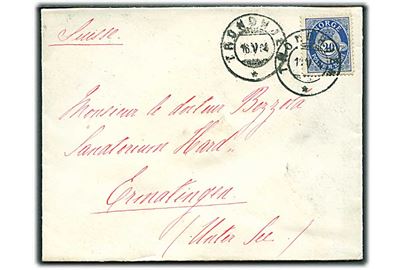 20 øre Posthorn på brev fra Trondhjem d. 16.5.1904 til Ernalingen, Schweiz.
