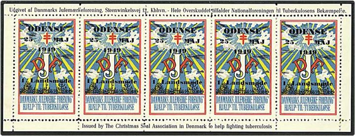 Ark Danmarks Julemærke Forenings hjælp til tuberkuløse fra 1949.