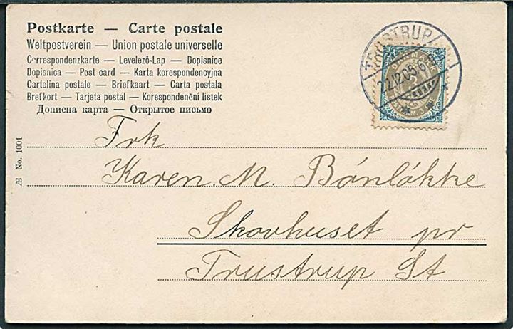 3 øre Tofarvet single på lokalt brevkort stemplet Trustrup d. 22.12.1905 til Skovhuset pr. Trustrup.