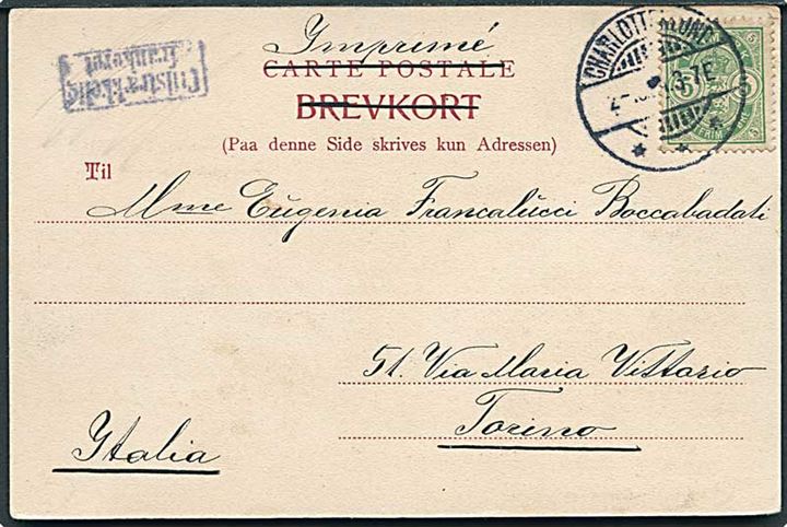 5 øre Våben på brevkort sendt som tryksag fra Charlottenlund d. 2.10.1904 til Torino, Italien. Fejlagtigt stemplet Utilstrækkelig frankeret.