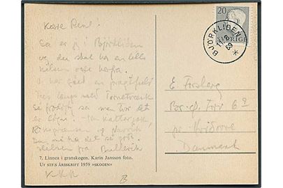 20 öre Gustaf på brevkort stemplet Björkliden d. 11.8.1959 til Hvidovre, Danmark.