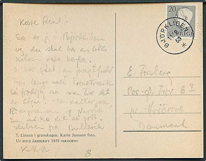 20 öre Gustaf på brevkort stemplet Björkliden d. 11.8.1959 til Hvidovre, Danmark.