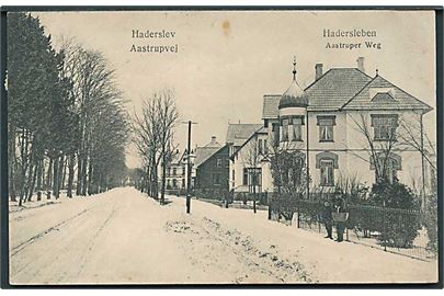 Parti fra Aastrupvej i Haderslev. No.1026.