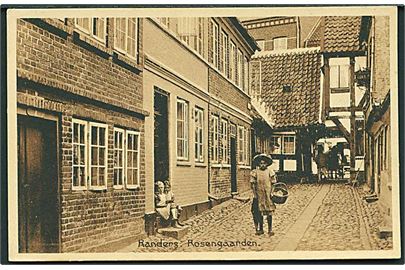 Parti fra Rosengaarden i Randers. Stenders no. 27876