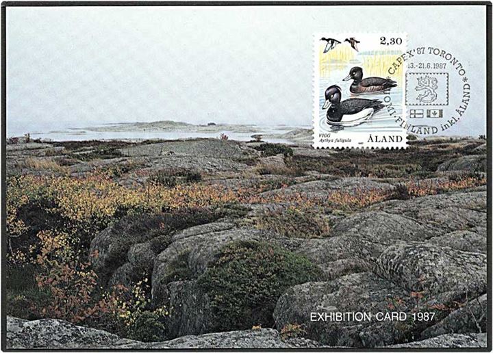 Maksimunkort fra Åland med motiv af ænder.