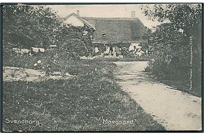 Maegaard ved Svendborg. F. Hansen no. 5265.