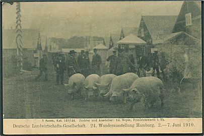 Dyrskue i Hamborg 1910, Tyskland. W.H.D. u/no.