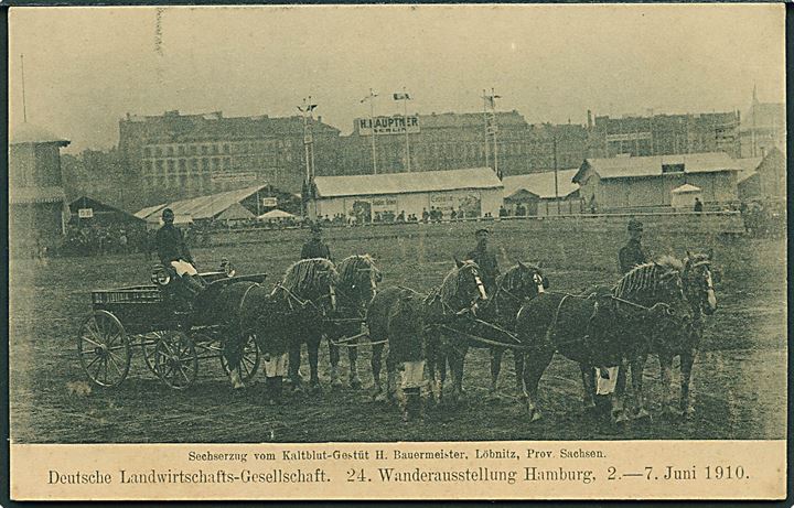 Hestevogn paa 24. Wanderausstellung i Hamborg, Tyskland. W.H.D. u/no.
