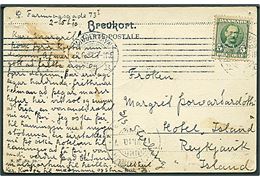 5 øre Fr. VIII på brevkort fra Kjøbenhavn d. 6.5.1910 til Reykjavik, Island. Påskrevet: S/S Sterling. Ank.stemplet Reykjavik d. 17.6.1910. Nålehuller.