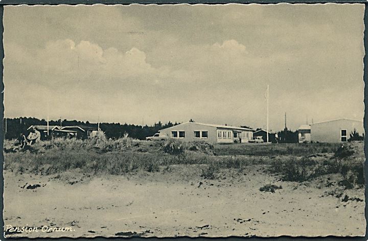 Sommerhuse ved Ornum Strand. Asvenda no. 16698.