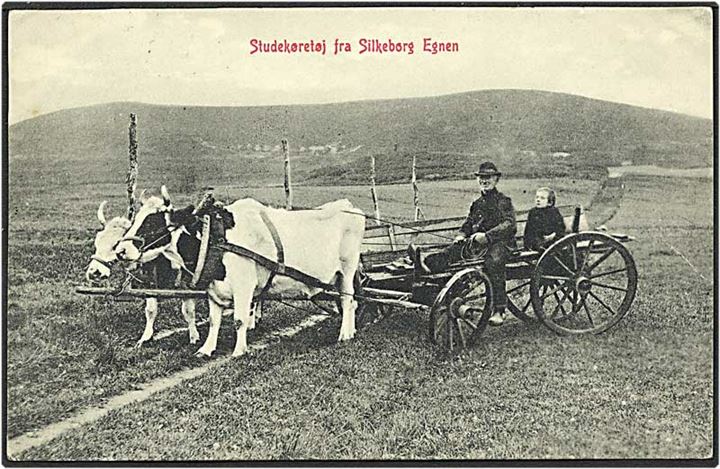 Studekøretøj fra Silkeborg egnen. W.K.F. no. 468.