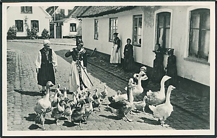 Gåseflokken på vej hjem, Dragør - Amager. Rudolf Olsens Kunstforlag no. 150. Fotokort. 