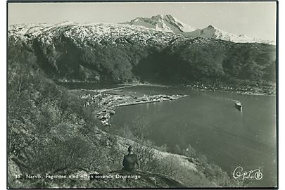 Narvik. Fagerned med Den Sovende Dronning. B. Oppi no. 15. Fotokort. 