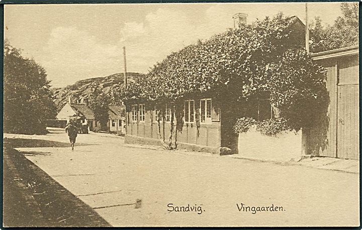 Vingaarden i Sandvig. Colbergs Boghandel no. 604.