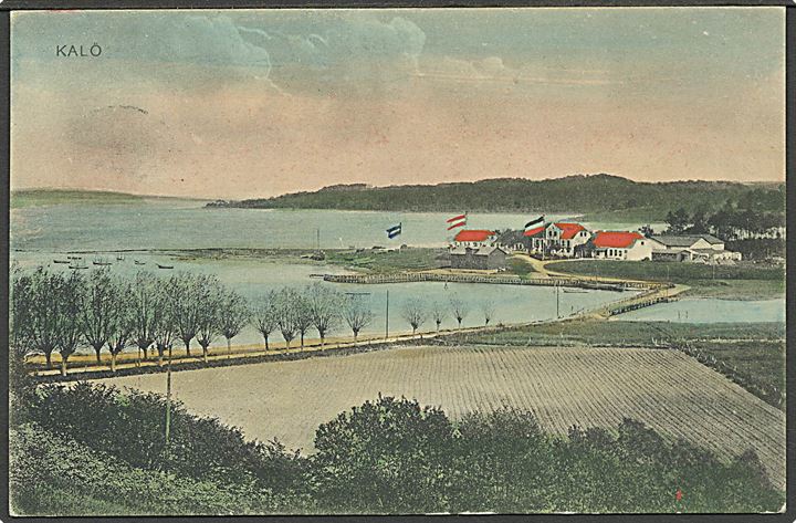 Kalvø, udsigt over.  W. Schützsack no. 10891. Kvalitet 7