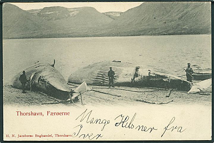 Færøerne, Thorshavn, hvaler på stranden. H.N. Jacobsen u/no. Kvalitet 8