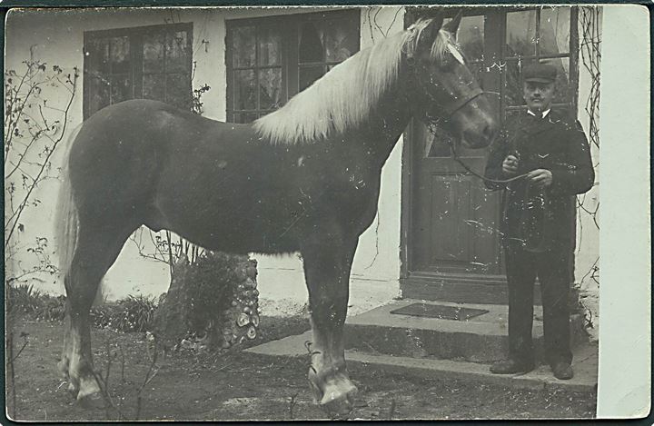 Samsø, mand med hest. Fotokort u/no. Kvalitet 7