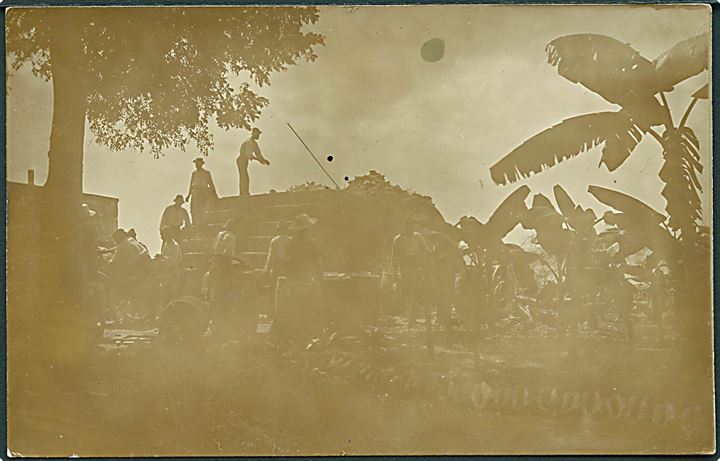 D.V.I., St. Croix, Frederiksted. Fanger arbejder d. 16.1. 1915. Fotokort u/no. Kvalitet 8