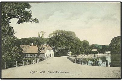 Vejen ved Mølledammen. A. Jensen no. 6225.
