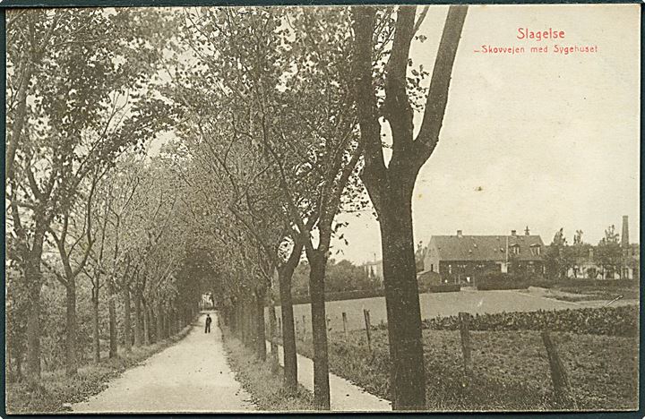 Skovvejen med Sygehuset i Slagelse. Johs Brorsens no. 820.