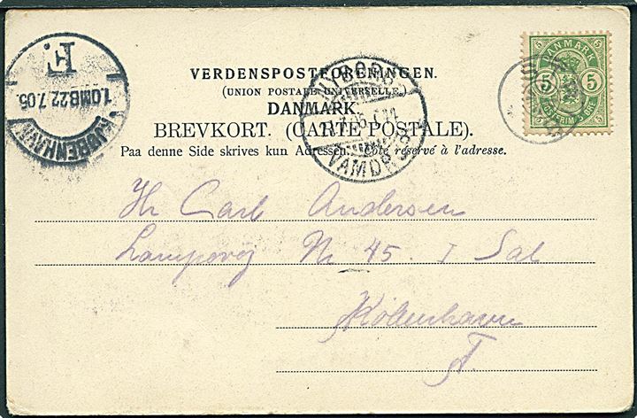 5 øre Våben på brevkort (Havneparti fra Strib) annulleret med stjernestempel STRIB og sidestemplet med bureau Nyborg - Vamdrup T.44 d. 21.7.1905 til København.