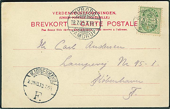 5 øre Våben på brevkort (Østerstrand, Fredericia) annulleret med stjernestempel STRIB og sidestemplet med bureau Nyborg - Vamdrup T.16 d. 18.7.1905 til Kjøbenhavn.