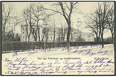 Den kgl. Veterinær og Landbohøjskole i København. C.R. no. 104.